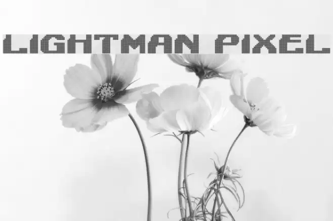 Lightman Pixel Font examples