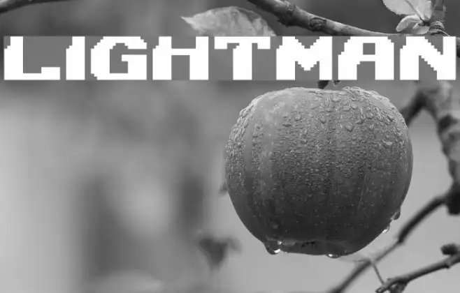 Lightman Example 1