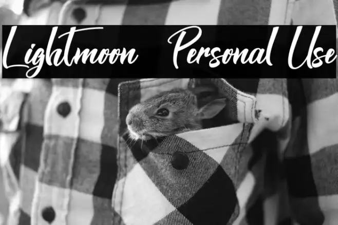 Lightmoon - Personal Use Example 2