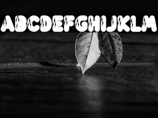 Lightning Bold フォント examples