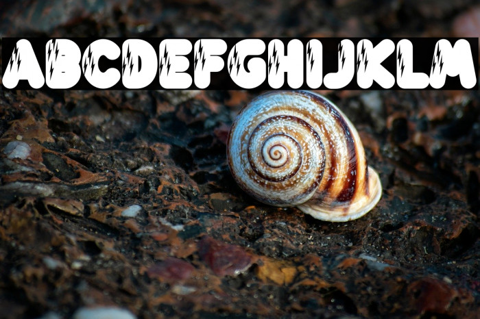 Lightning Bold Example 2