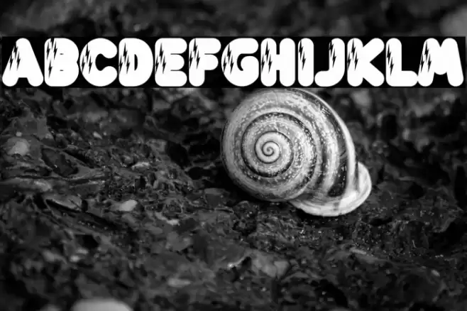 Lightning Bold フォント examples