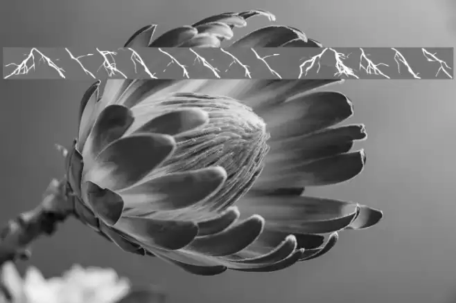 Lightning Bolts Font examples