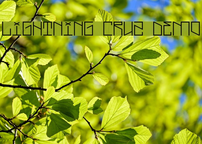 Lightning Cruz Demo Font examples