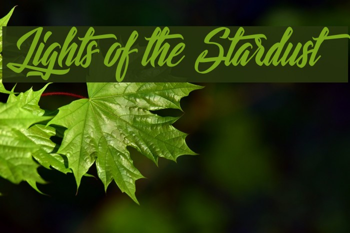 Lights of the Stardust Schriftart examples