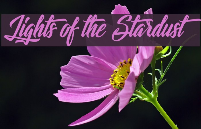 Lights of the Stardust Font examples