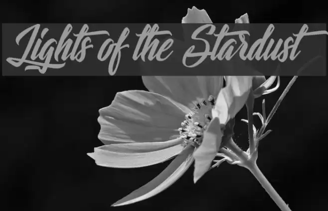Lights of the Stardust Schriftart examples