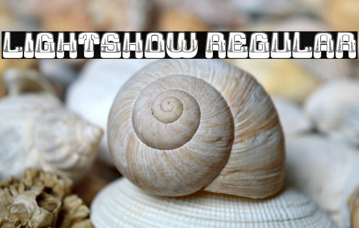 Lightshow Regular Example 1