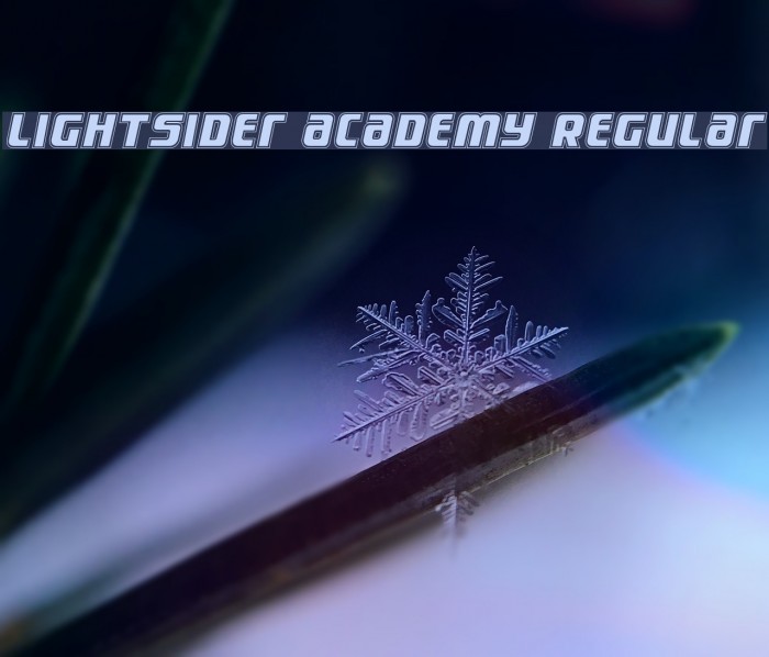 Lightsider Academy Regular Example 2