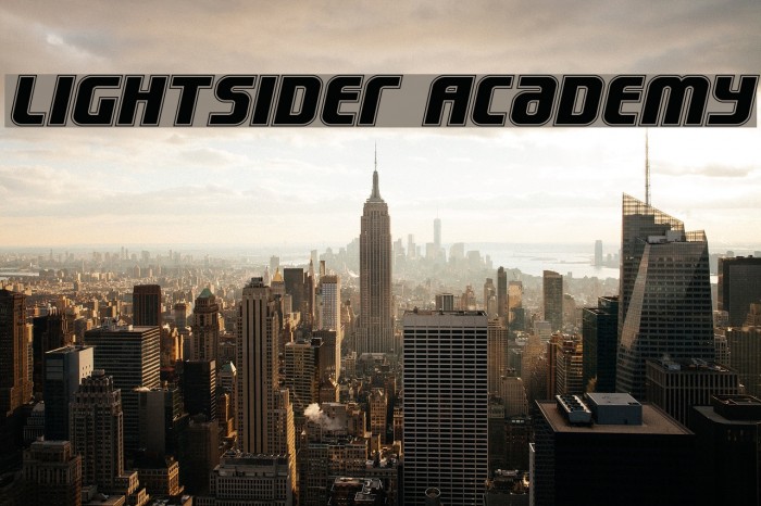 Lightsider Academy Example 1