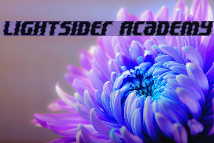 Lightsider Academy Example 3