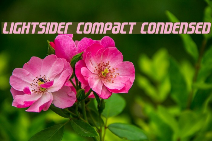 Lightsider Compact Condensed Font examples