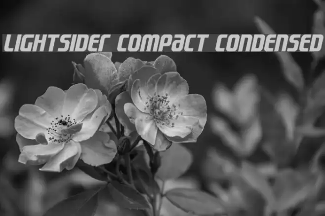 Lightsider Compact Condensed Example 1