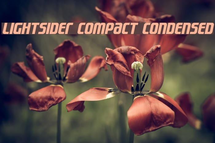 Lightsider Compact Condensed Font examples