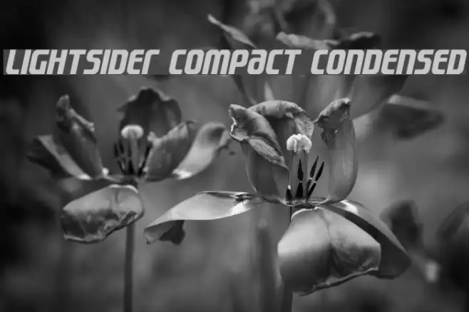 Lightsider Compact Condensed Example 2