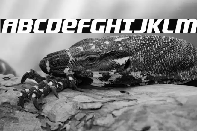 Lightsider Compact Expanded Font examples