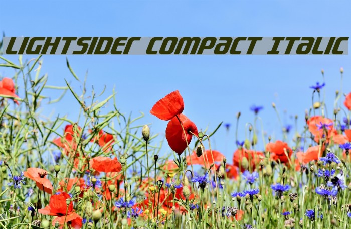 Lightsider Compact Italic Font examples
