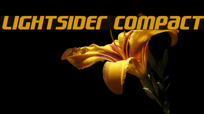 Lightsider Compact Font examples