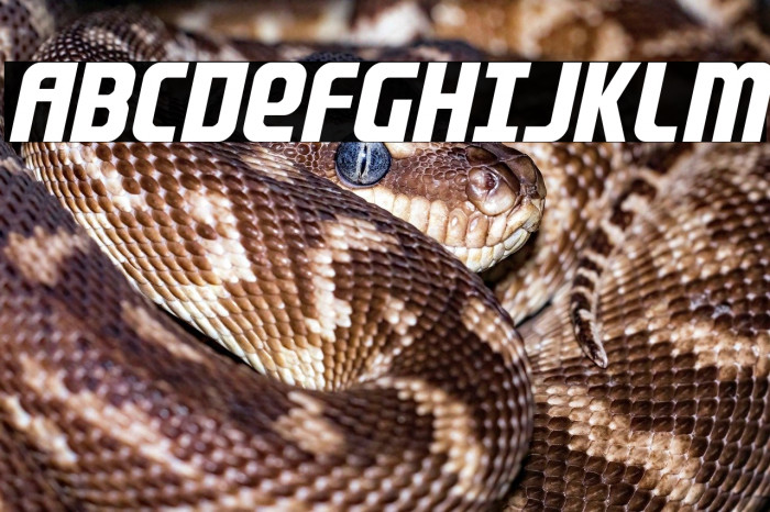 Lightsider Condensed Example 3