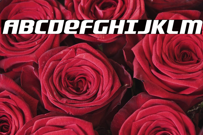 Lightsider Expanded Example 1