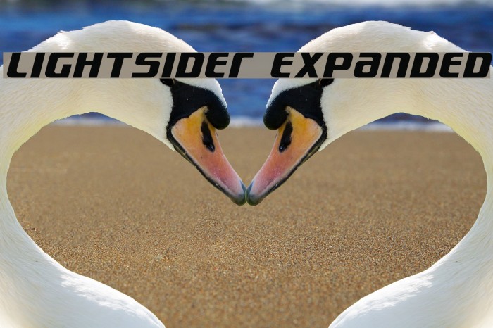 Lightsider Expanded Font examples