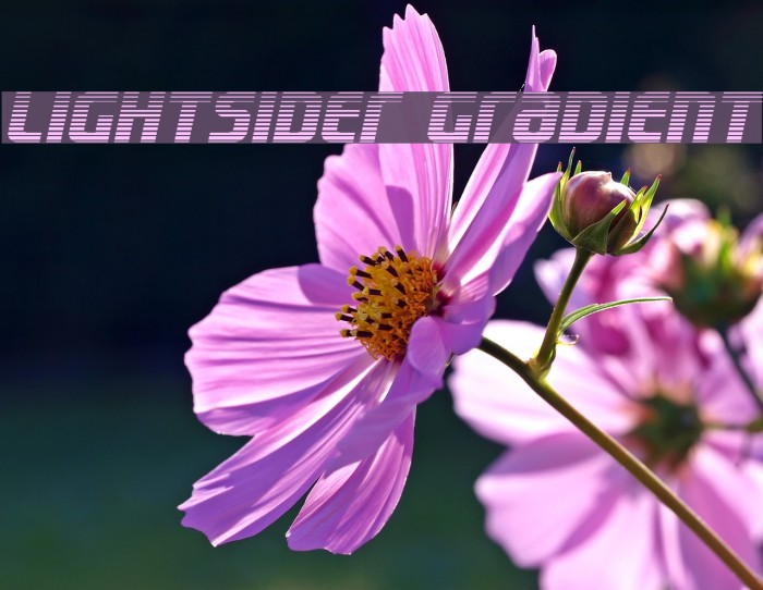 Lightsider Gradient Font examples