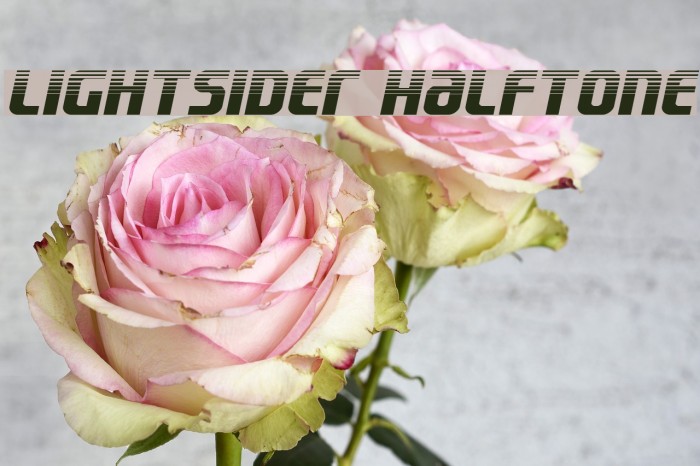 Lightsider Halftone Example 1