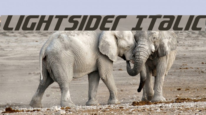 Lightsider Italic Example 2