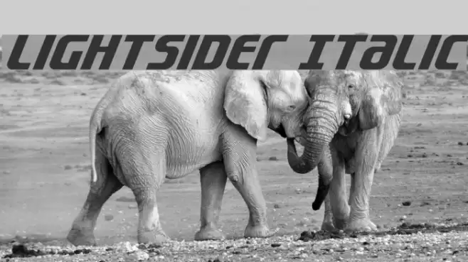 Lightsider Italic Font examples