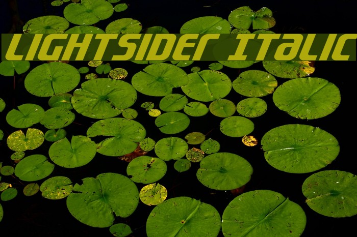 Lightsider Italic Example 3