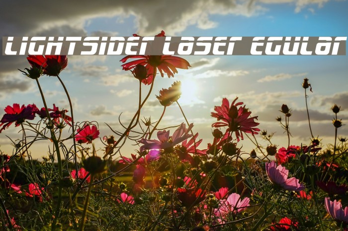 Lightsider Laser egular Font examples