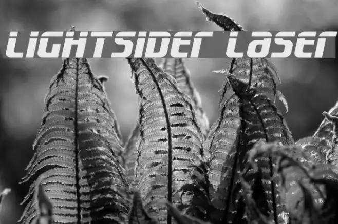 Lightsider Laser Example 1