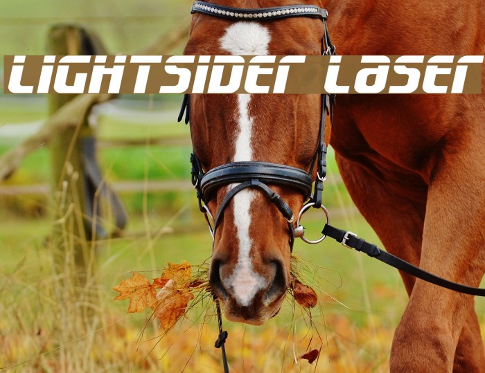 Lightsider Laser Font examples