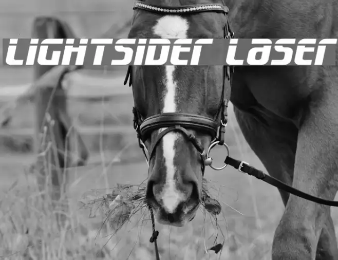 Lightsider Laser Example 2