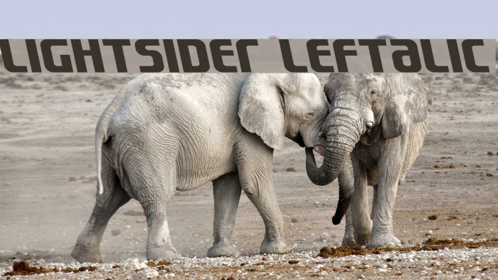 Lightsider Leftalic Font examples