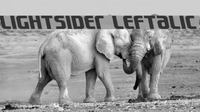 Lightsider Leftalic Example 1