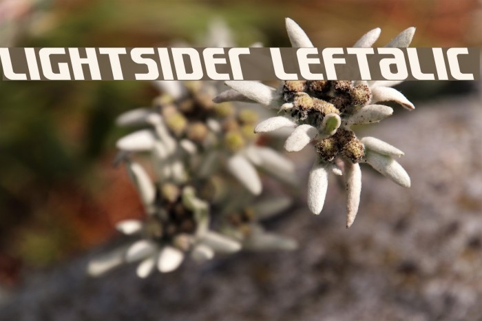 Lightsider Leftalic Font examples