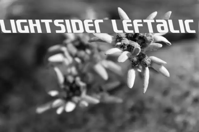 Lightsider Leftalic Example 2