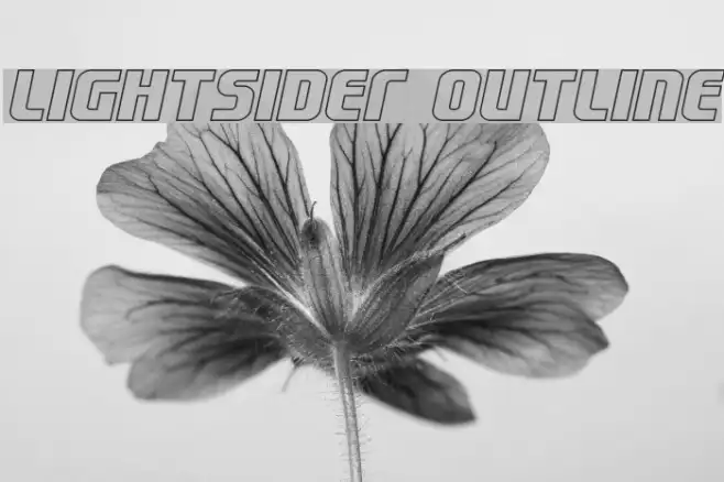Lightsider Outline Example 1