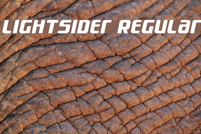 Lightsider Regular Example 2