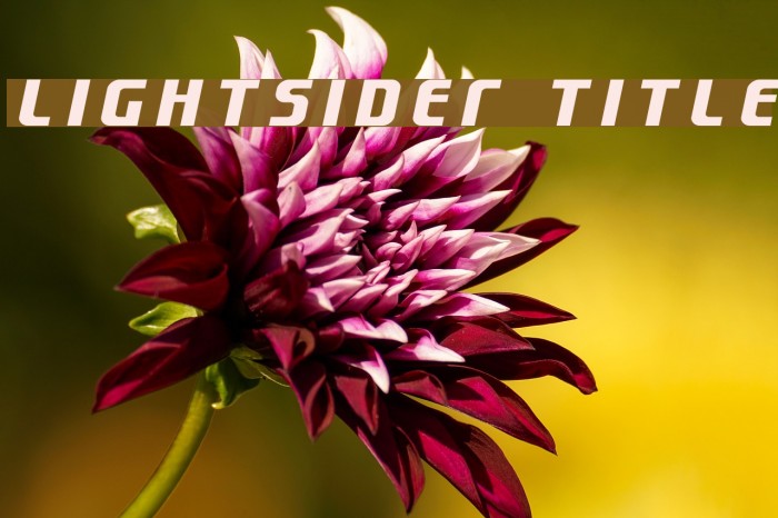 Lightsider Title Example 2