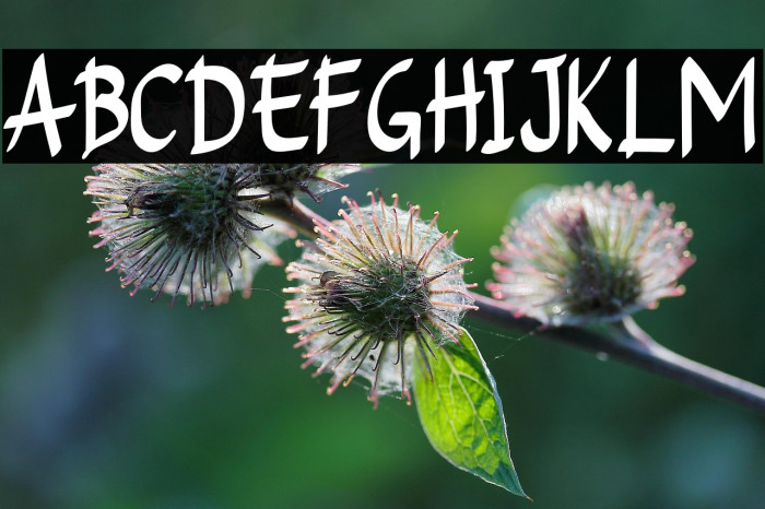 Lightskyforpersonaluse Example 2