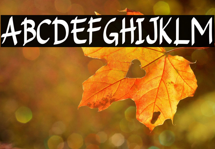 Lightskyforpersonaluse Example 3