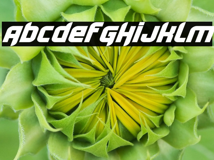 Lightyear Design Example 1