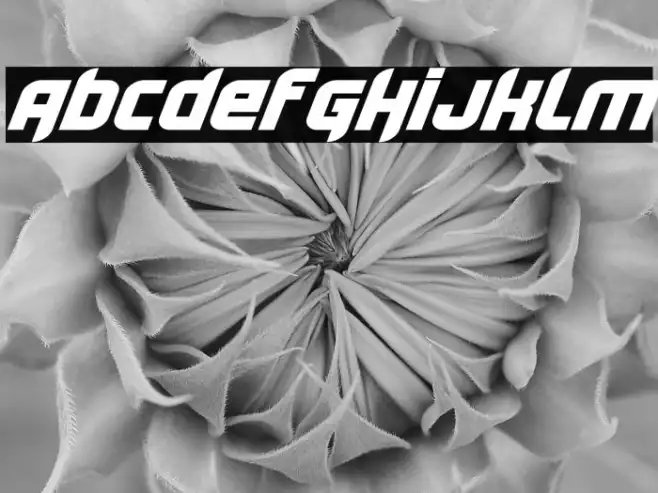 Lightyear Design Example 1
