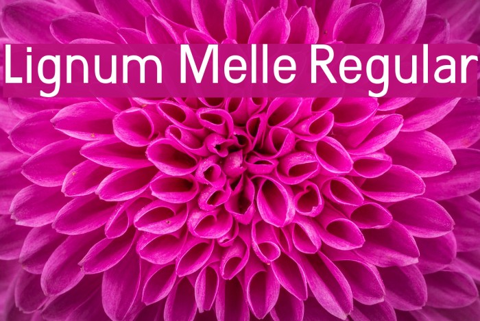 Lignum Melle Regular Font examples