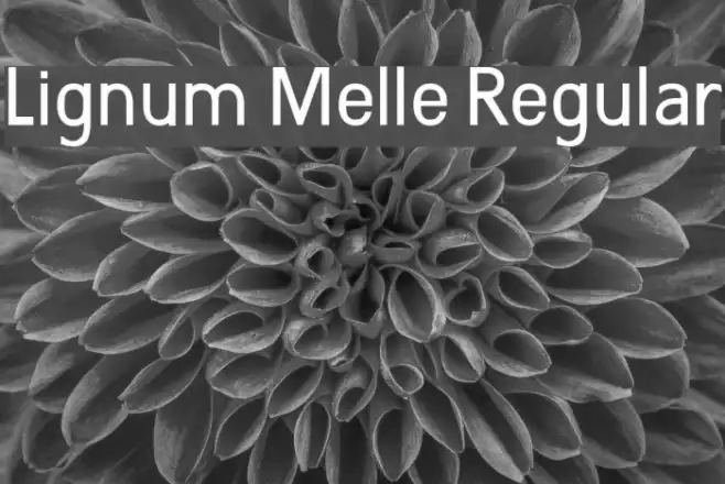 Lignum Melle Regular Example 3