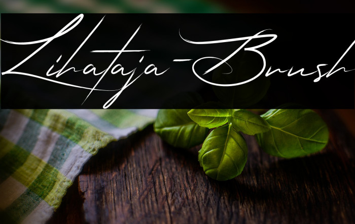 Lihataja-Brush Example 2