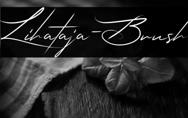 Lihataja-Brush Font examples