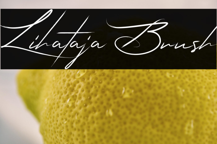 Lihataja Brush Example 1